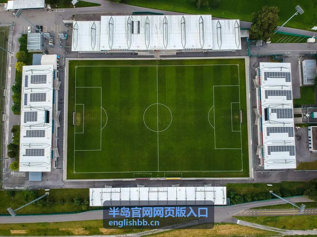 半岛官网网页版入口经典内容回顾封面