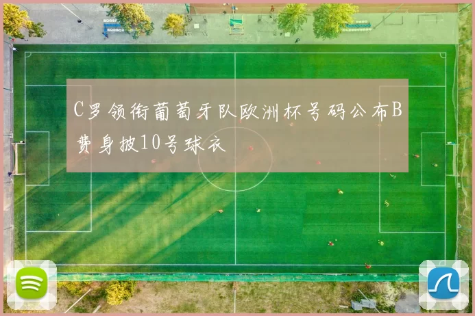 C罗领衔葡萄牙队欧洲杯号码公布B费身披10号球衣