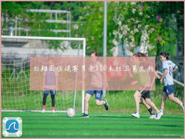 刘翔因伤退赛男子110米栏卫冕失利